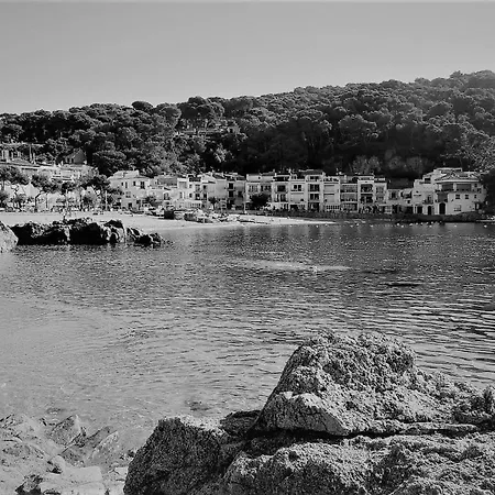 Con Vista Frontal Al Mar En 316 *