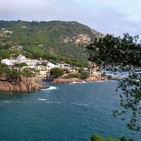 Con Vista Frontal Al Mar En 316 Appartamento *