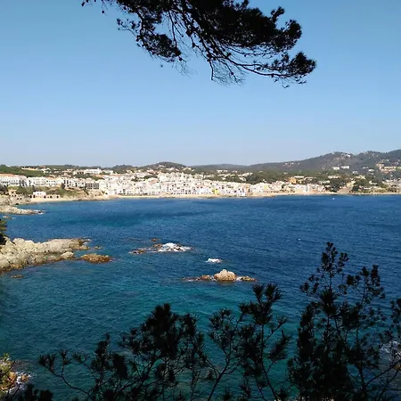 Con Vista Frontal Al Mar En 316 Appartamento