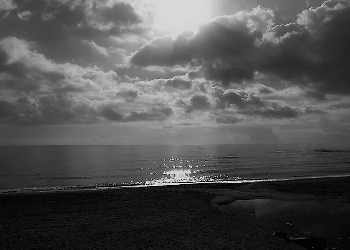 Con Vista Frontal Al Mar En 316